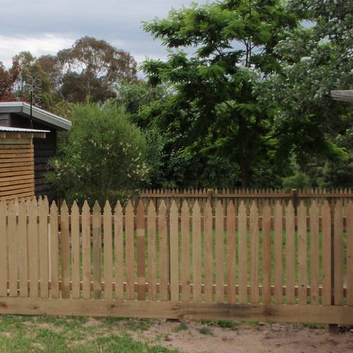 Treated pine clearance fence pickets